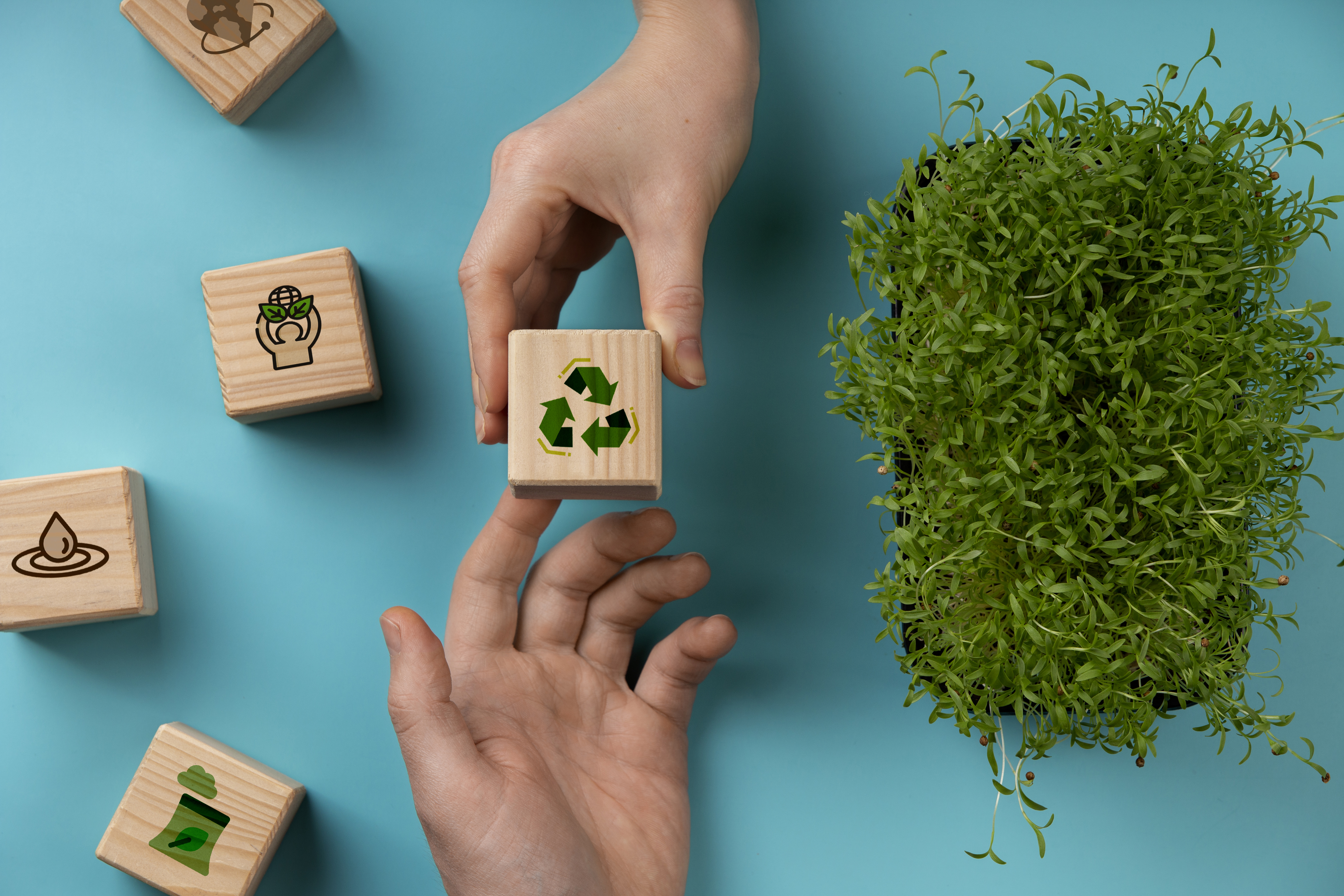 Eco-Friendly Packaging